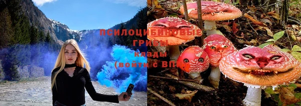стафф Алексин