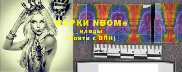 стафф Алексин